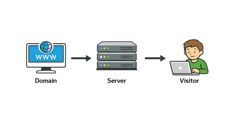 domain server visitor